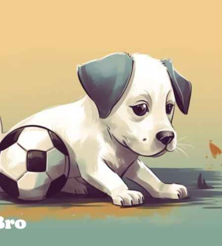 When Do Puppies Calm Down
