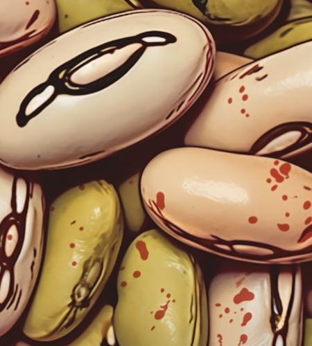 Understanding Why Am I Craving Beans So Bad